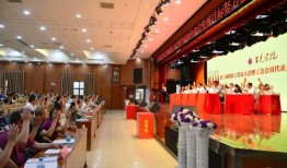 三只羊员工爆料视频大全,揭秘职场真相与幕后故事