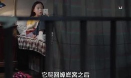 大斌姐姐爆料视频在线看,揭秘幕后真相，带你走进事件核心